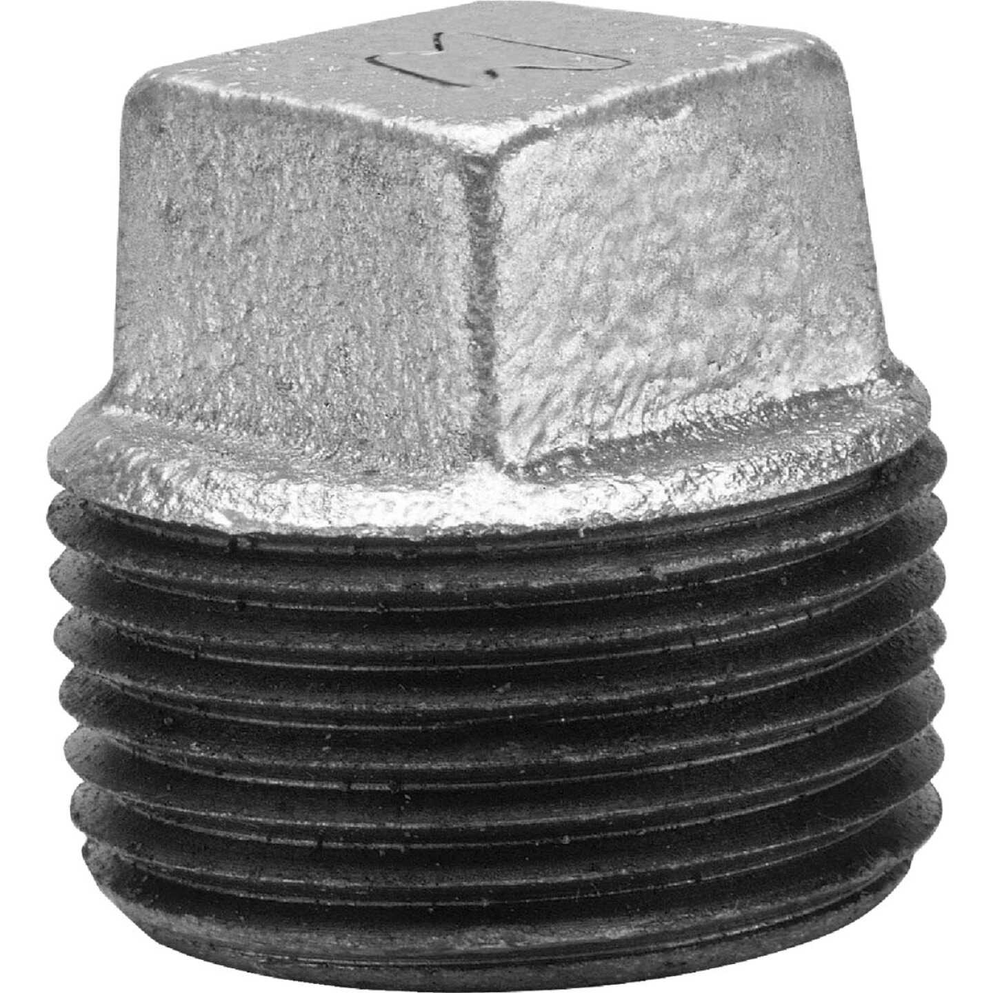 Anvil 1/2 In. Malleable Iron Galvanized Plug Image 1