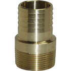 Ecoflo 3/4 In. Male Brass Adapter Image 1