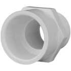 Charlotte Pipe 3/4 In. x 3/4 In. Schedule 40 Male PVC Adapter Image 1