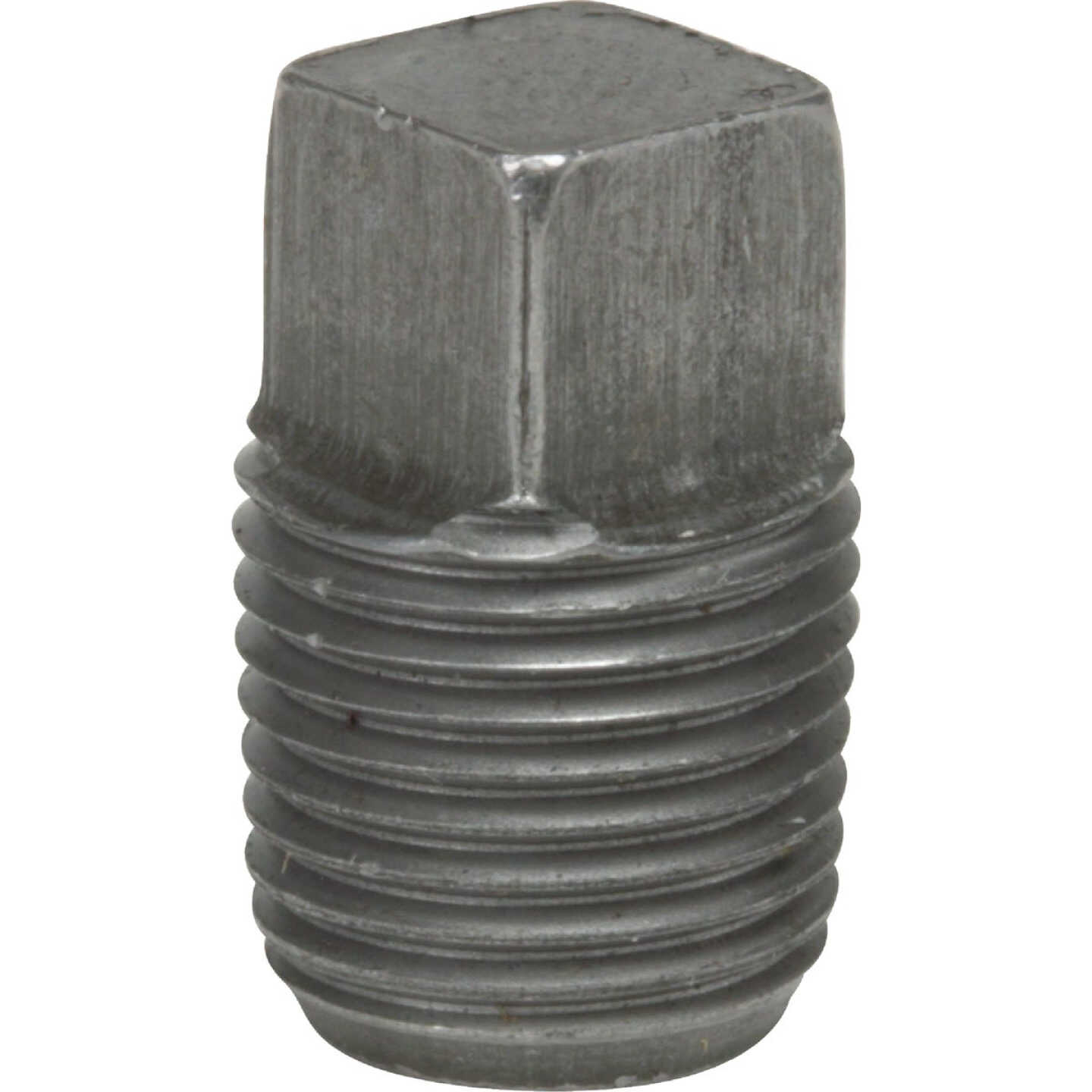 Anvil 2 In. Malleable Black Iron Square Head Pipe Plug Image 1
