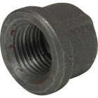 Anvil 3/4 In. Malleable Black Iron Cap Image 1