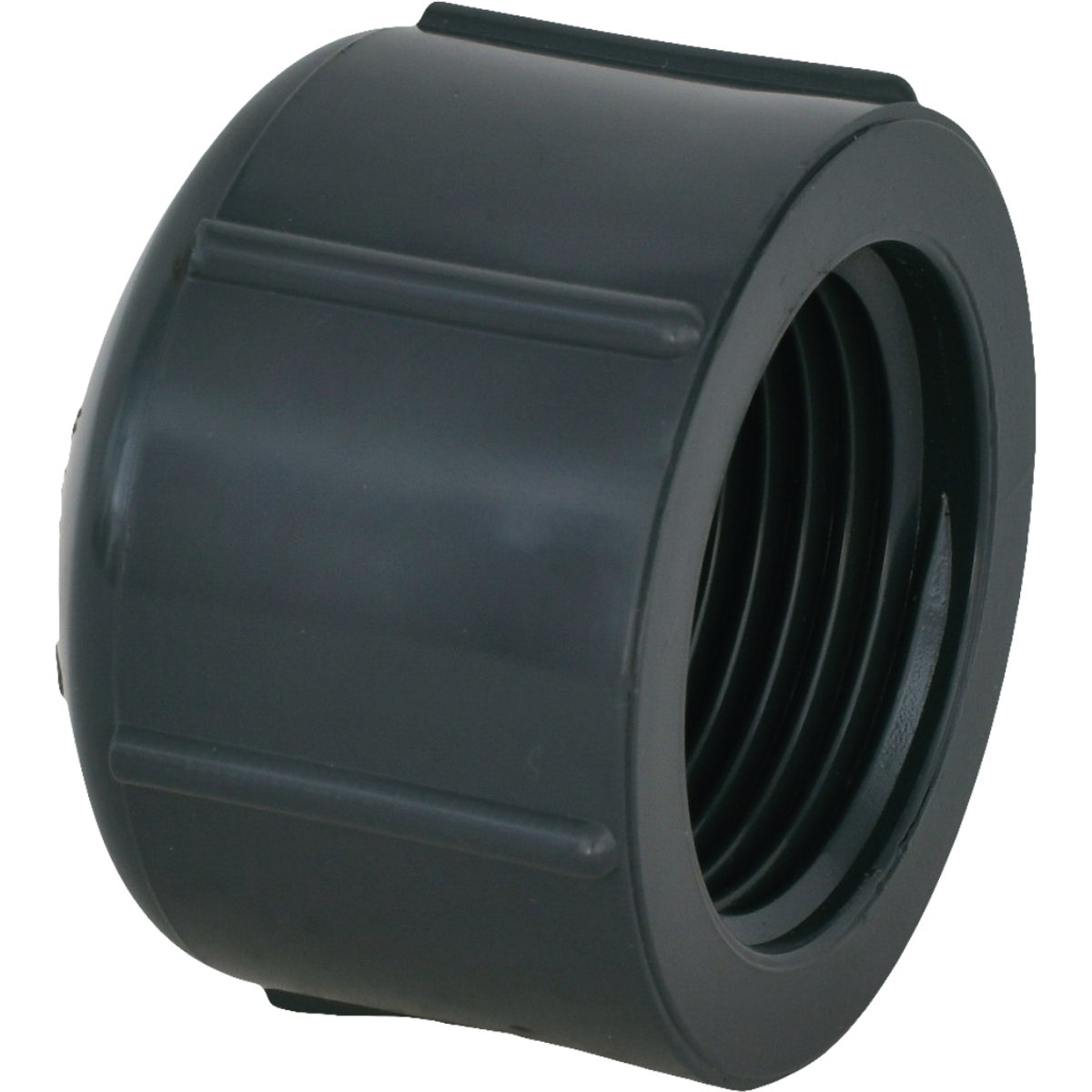 Charlotte Pipe 1 In. Threaded Gray Schedule 80 Cap Image 1