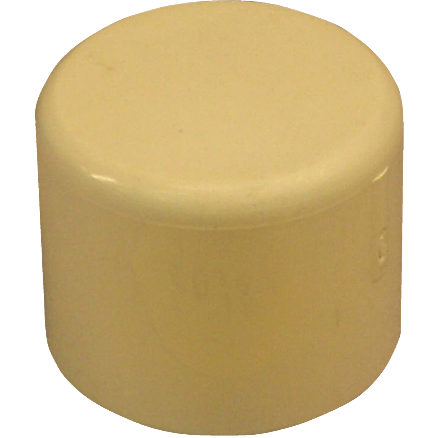 Charlotte Pipe 3/4 In. Slip Solvent Weld CPVC Cap Image 1
