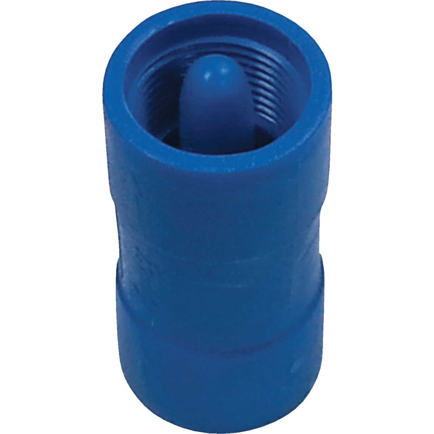 Campbell Brady 3/4 In. Acetal Polymer Spring-Loaded Check Valve Image 1