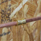 QuickFitting 3/4 In. Push-to-Connect Brass Straight Coupling Image 2