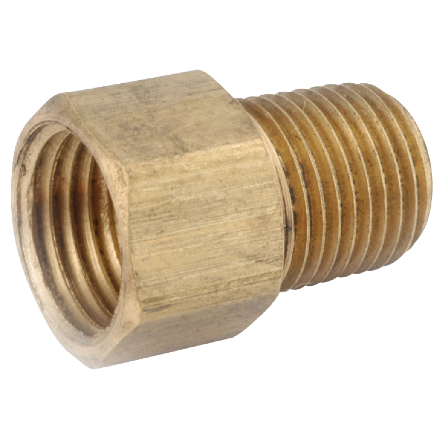 Anderson Metals 1/4 In. x 1/4 In. Brass Inverted Flare Connector Image 1