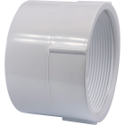 Charlotte Pipe 4 In. Hub x 4 In. FPT Schedule 40 DWV PVC Adapter Image 1