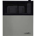 Comfort Glow 11,000 BTU 375 Sq. Ft Direct Vent Propane Wall Heater Image 1