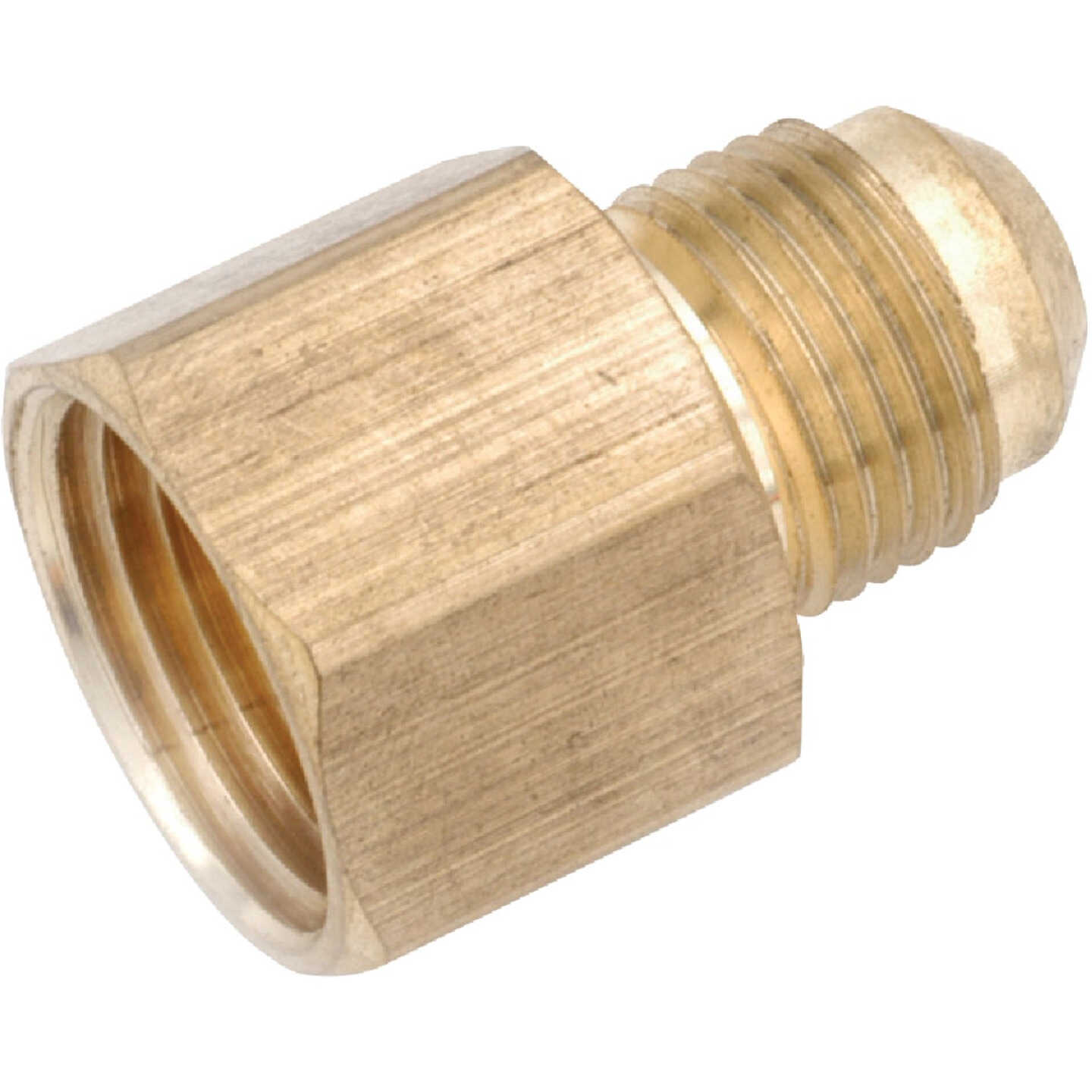 Anderson Metals 5/8 In. x 1/2 In. Brass Low Lead Female Flare Connector Image 1