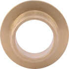 SharkBite 3/4 In. Female Sweat x 3/4 In. CF Brass PEX Adapter (10-Pack) Image 3