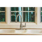 BN PULLDOWN KIT FAUCET Image 6