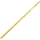 Charlotte Pipe 1/2 In. x 2 Ft. CPVC SDR11 Pipe Image 1