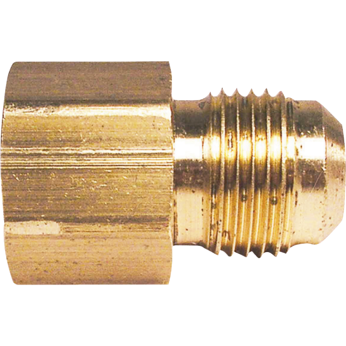 Do it 1/2 In. x 1/2 In. Brass Female Flare Adapter Image 1
