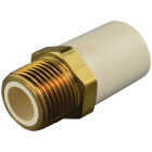 Charlotte Pipe 1/2 In. Slip x Brass MIP CPVC Transition Adapter Image 1