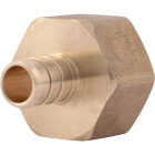 SharkBite 1/2 In. Barb x 3/4 In. FIP Brass PEX Adapter Image 1