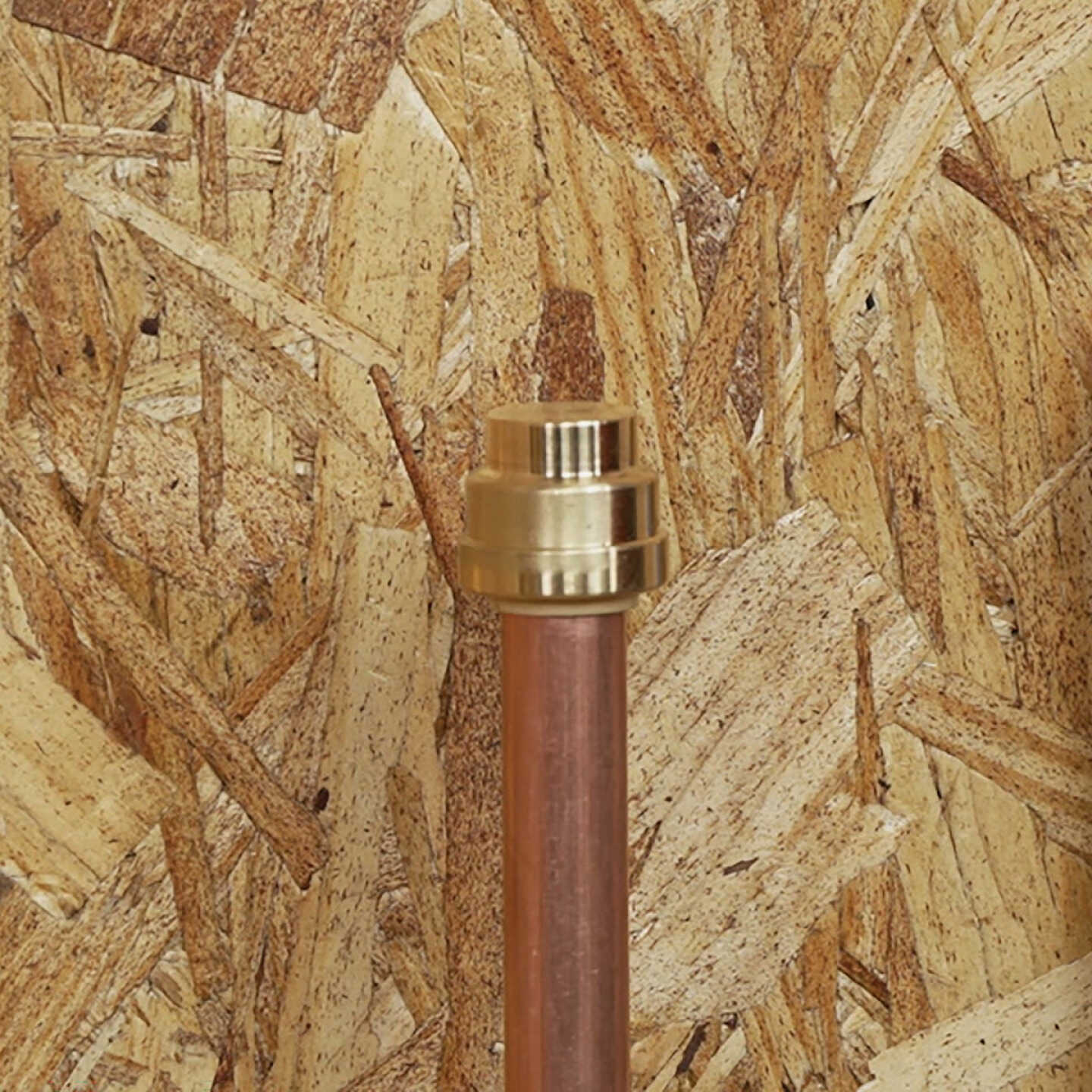 QuickFitting 3/4 In. Push-to-Connect Brass Push Cap (End Stop) Image 2