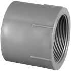Charlotte Pipe 1-1/4 In. Schedule 80 Female PVC Adapter Image 1