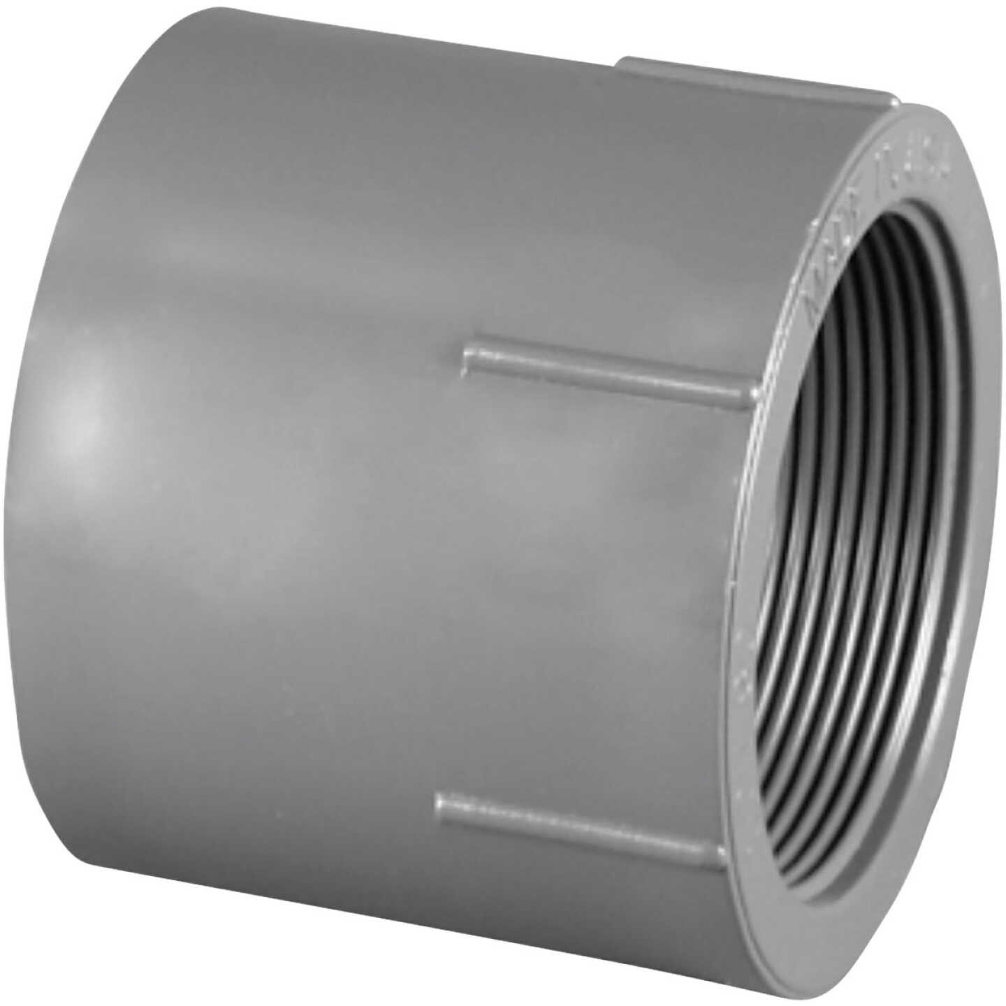 Charlotte Pipe 1-1/4 In. Schedule 80 Female PVC Adapter Image 1