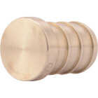 SharkBite 1/2 In. Barb Brass PEX Test Plug Image 1