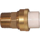 Homewerks 3/4 In. x 3/4 In. MIP Low Lead Transition CPVC Union Image 1