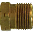 Anderson Metals 7/8 In. Hex x 1 In. Long Pol Nut Propane LH Thread Brass Nut Image 1