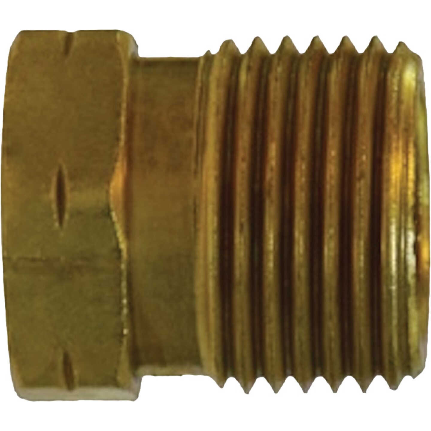 Anderson Metals 7/8 In. Hex x 1 In. Long Pol Nut Propane LH Thread Brass Nut Image 1