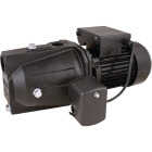 Star Water Systems 3/4 HP 115/230V Shallow Well Pump Image 2