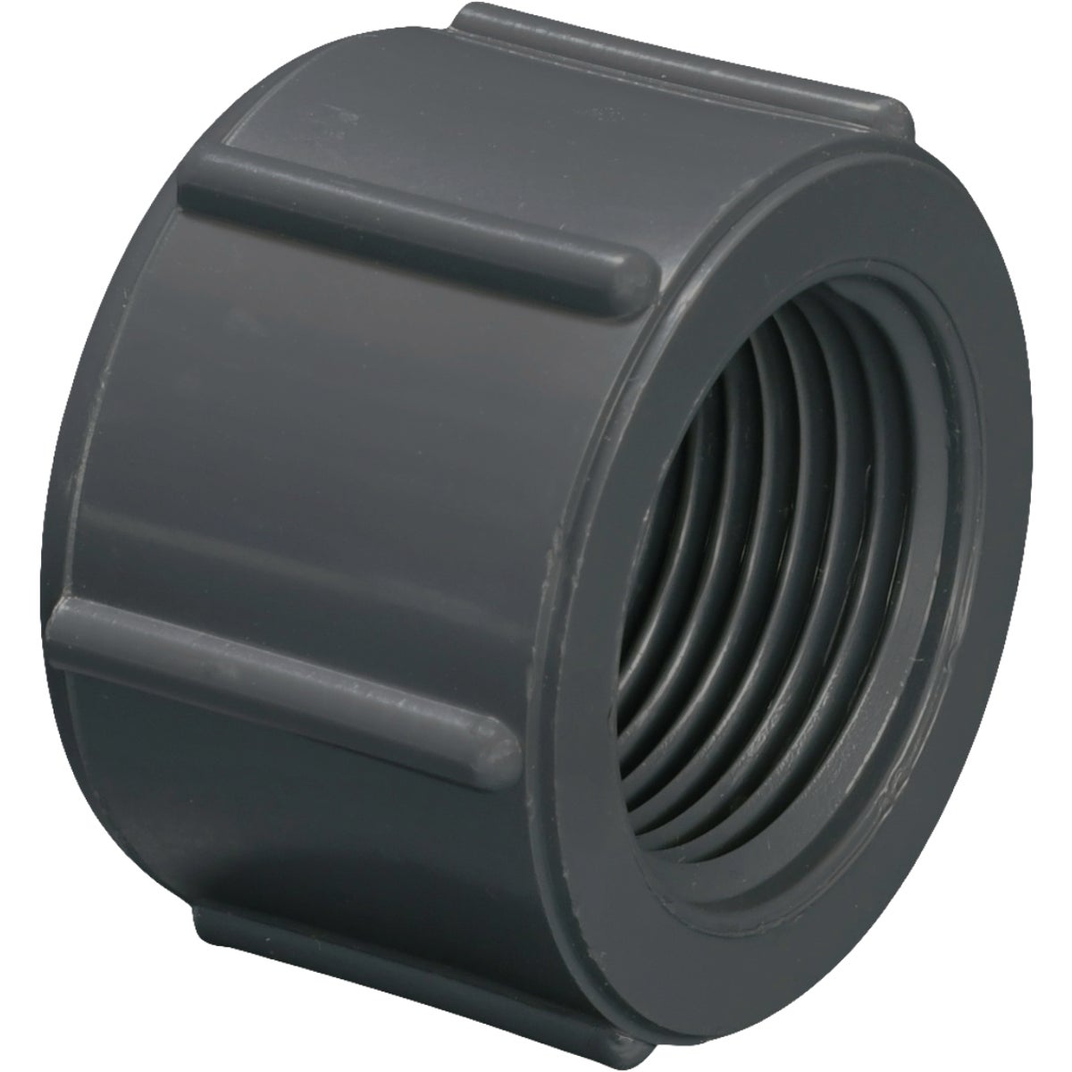 Charlotte Pipe 3/4 In. Gray Schedule 80 Feamle Threaded Cap Image 1