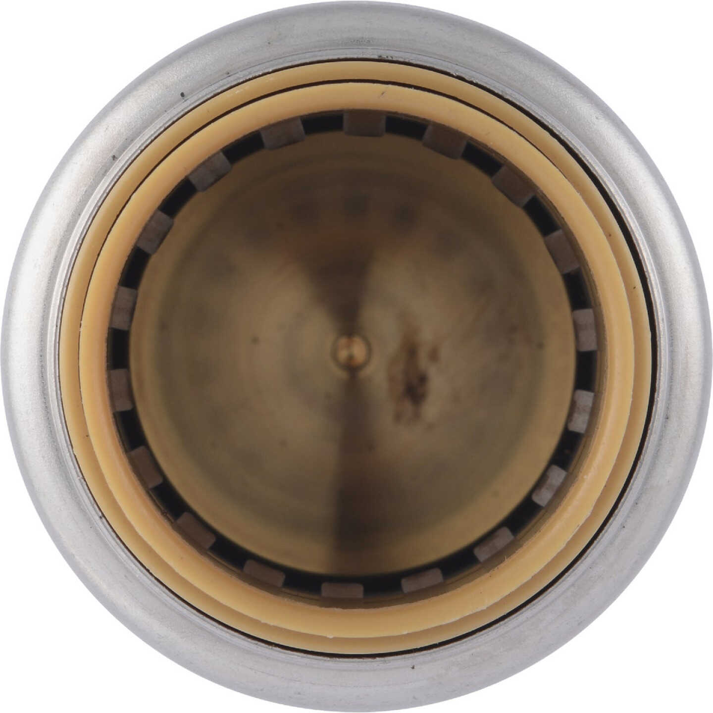SharkBite 3/4 In. Push-to-Connect Brass End Push Cap (4-Pack) Image 7