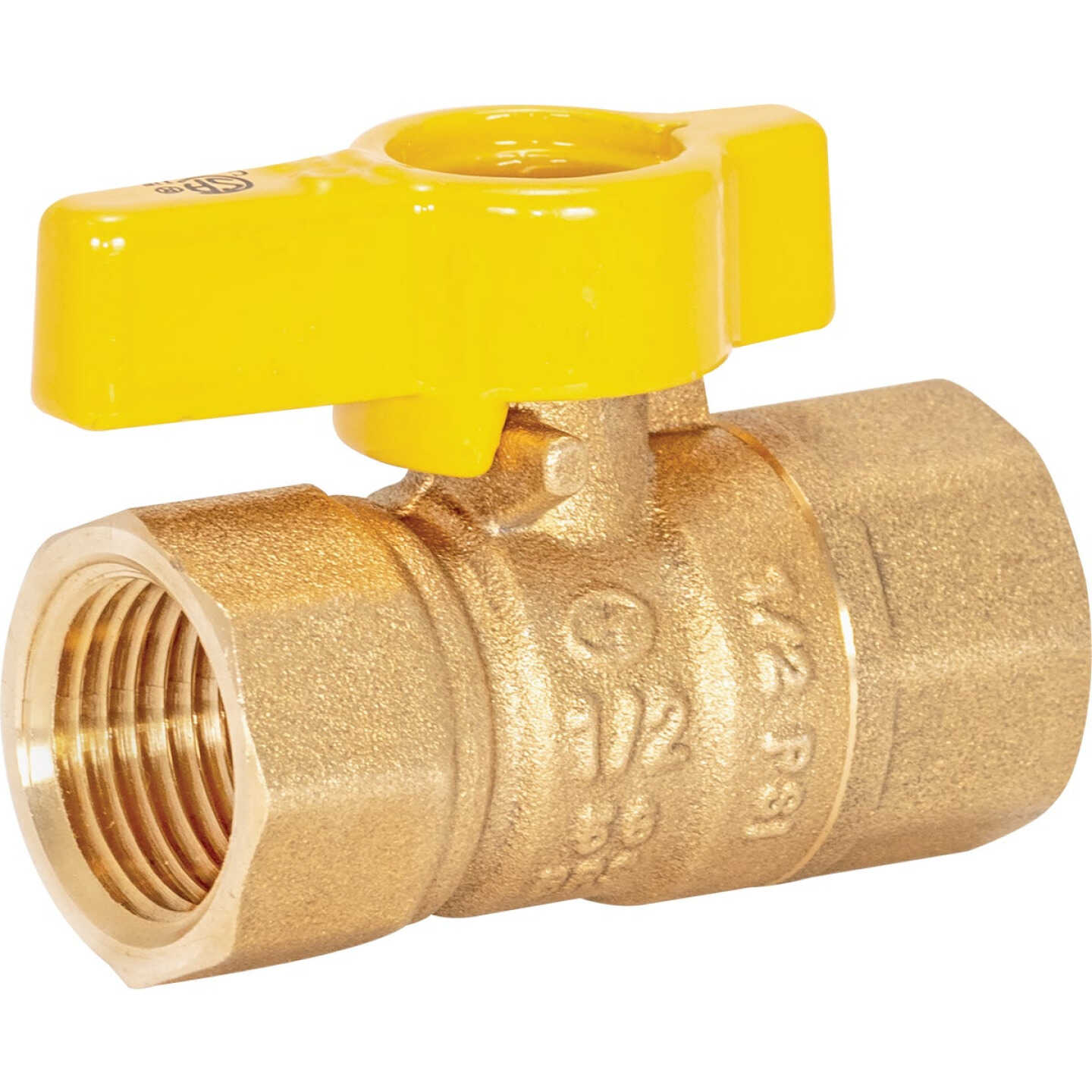 Eastman 1/2 In. FIP x 1/2 In. FIP Forged Brass Straight Gas Shutoff Valve Image 1