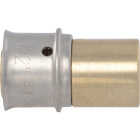 SharkBite 1/2 In. x 1/2 In. Male PEX Press Brass Sweat Adapter Image 3