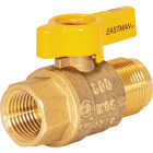 Eastman 5/8 In. OD Male Flare x 1/2 In. FIP Gas Valve Image 1