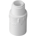 Charlotte Pipe Schedule 40 3/4 in. MPT x 3/4 in. FTP PVC Riser Extension Image 1