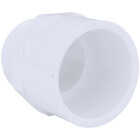 Charlotte Pipe Reducing Schedule 40 6 in. S x 6 in. M.I.P. PVC Adapter Image 1