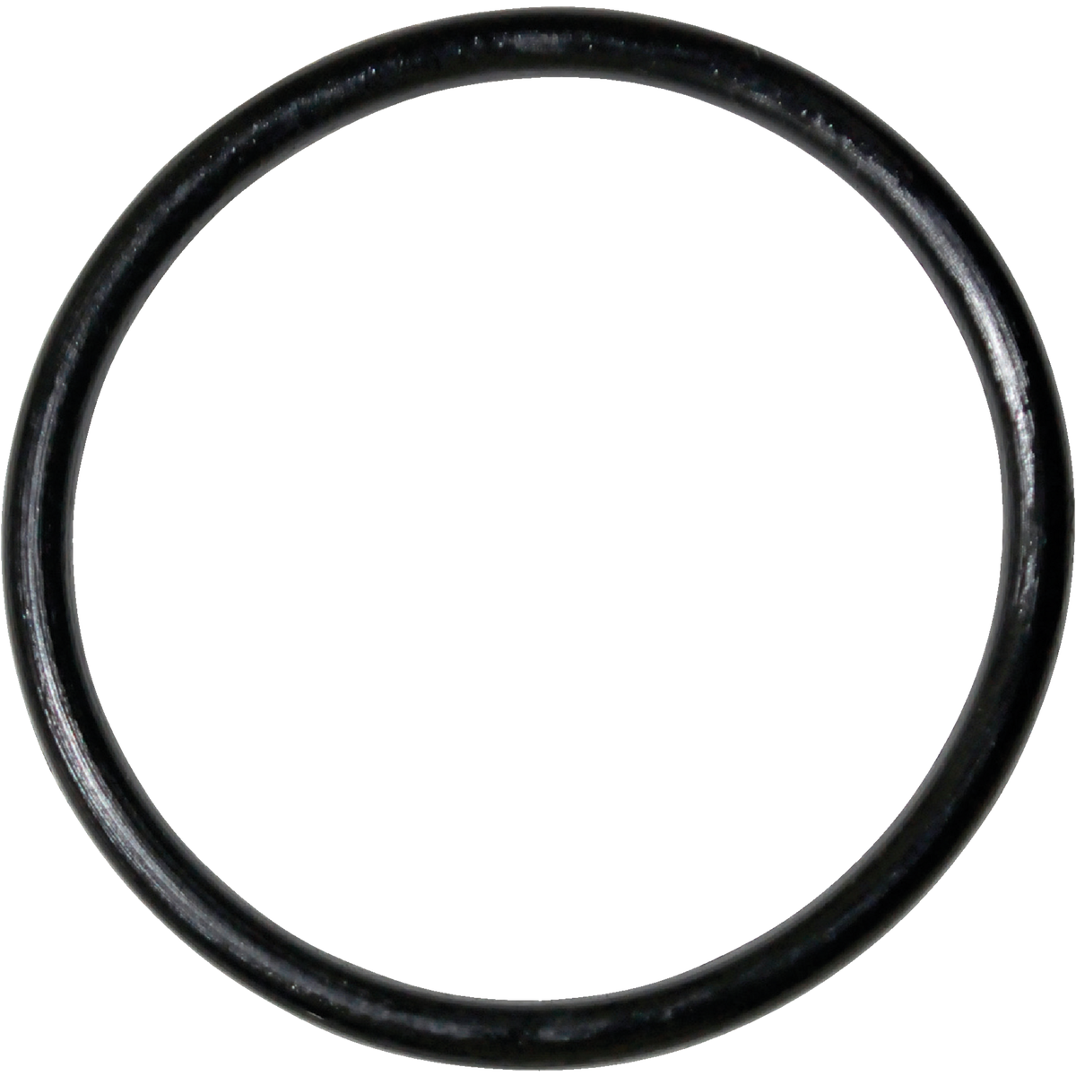 Danco #66 7/8 In. x 1 In. Buna-N O-Ring