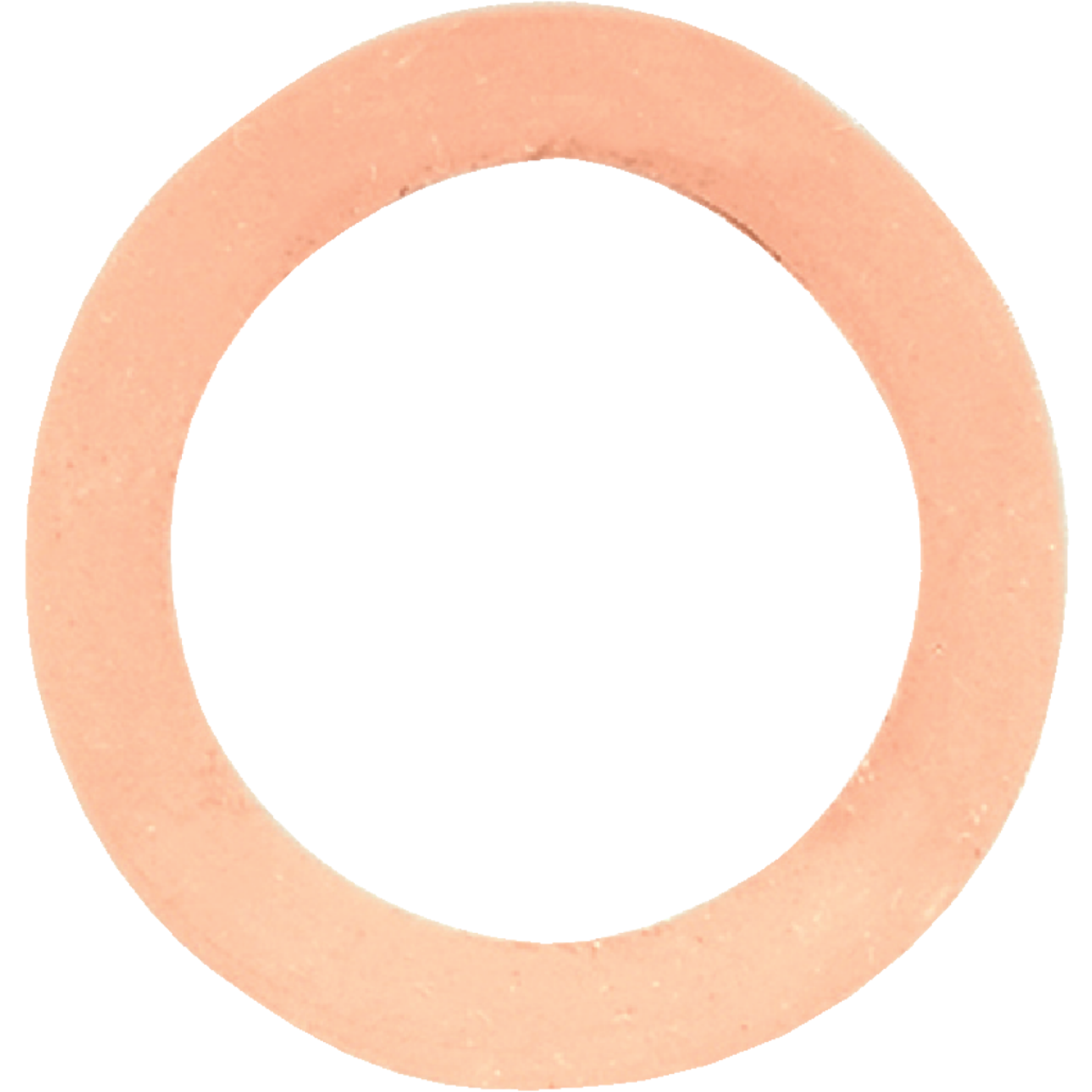 Danco Oval Rubber Hose Washer Image 1