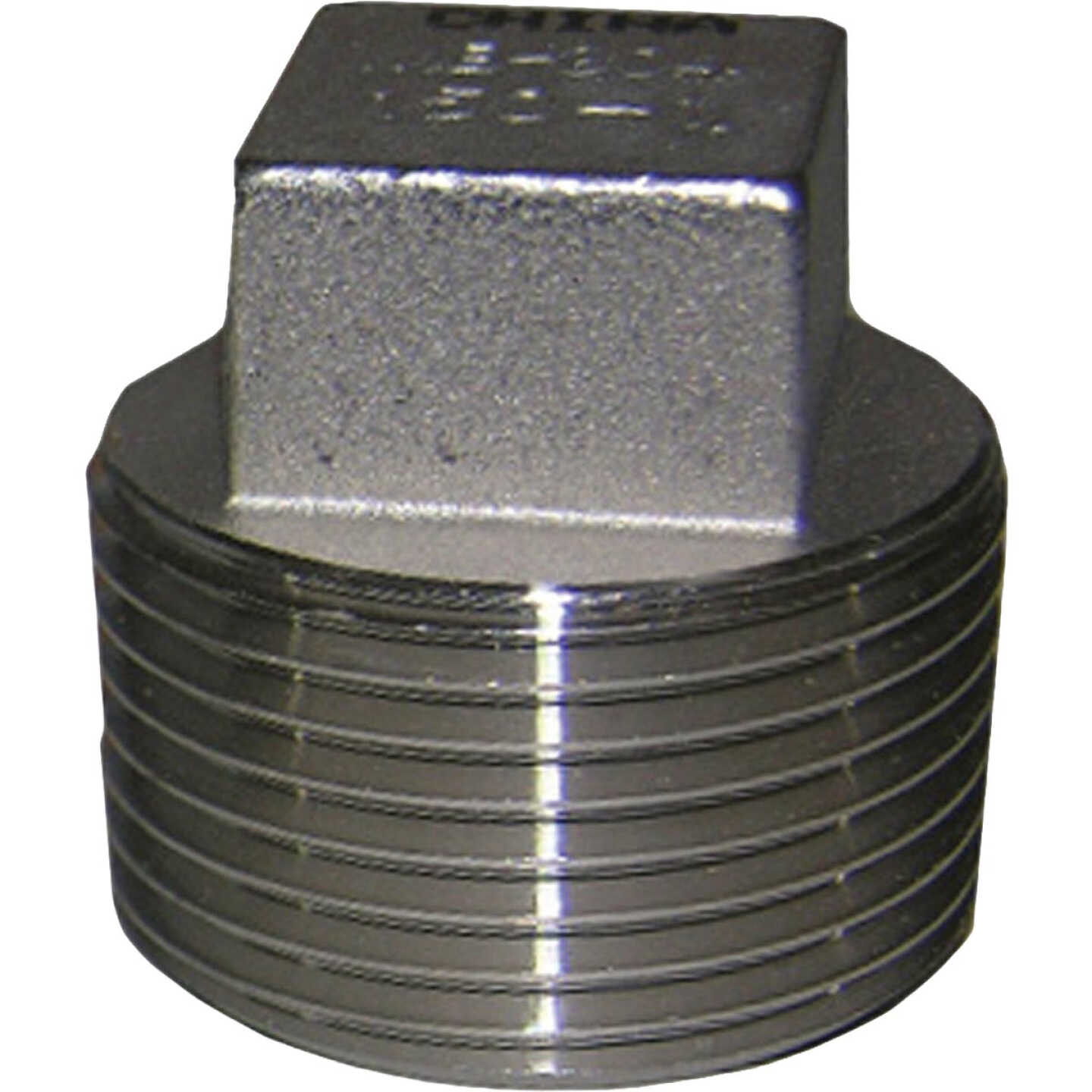 Lasco 1/2 In. Male Iron Pipe 301 Stainless Steel Plug Image 1