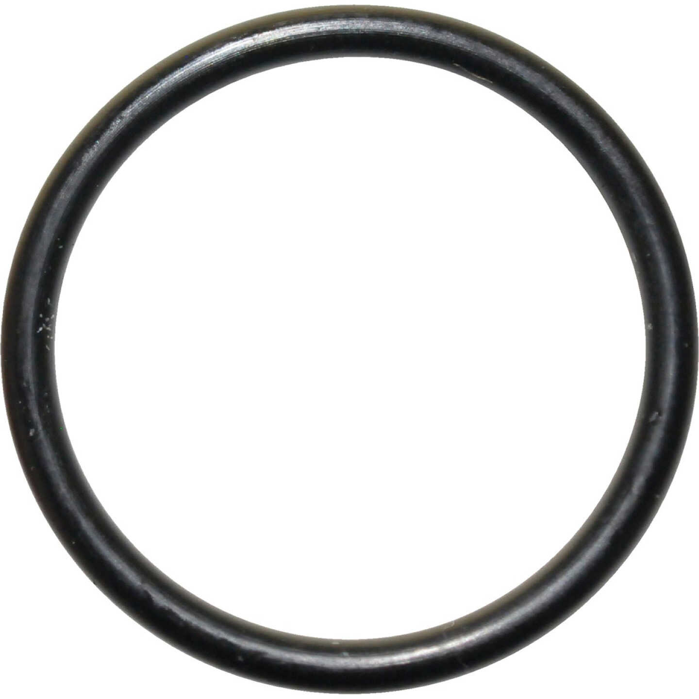 Danco #30 3/4 In. x 7/8 In. Buna-N O-Ring Image 1