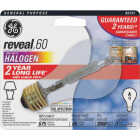 60W REVEAL HALOGEN BULB Image 1