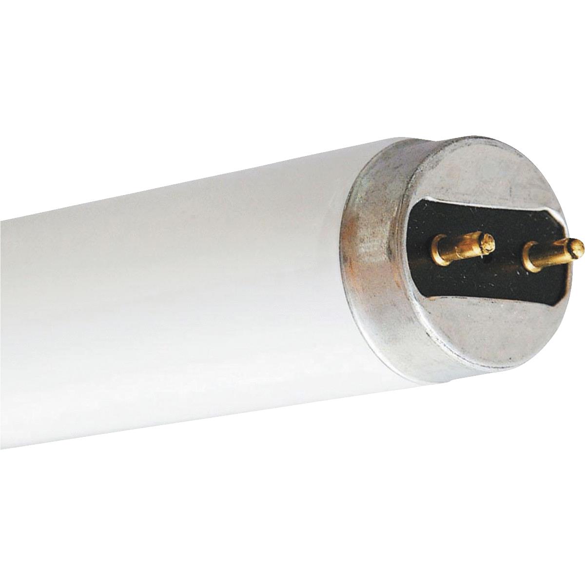 19W26"T8CW FLUOR TUBE