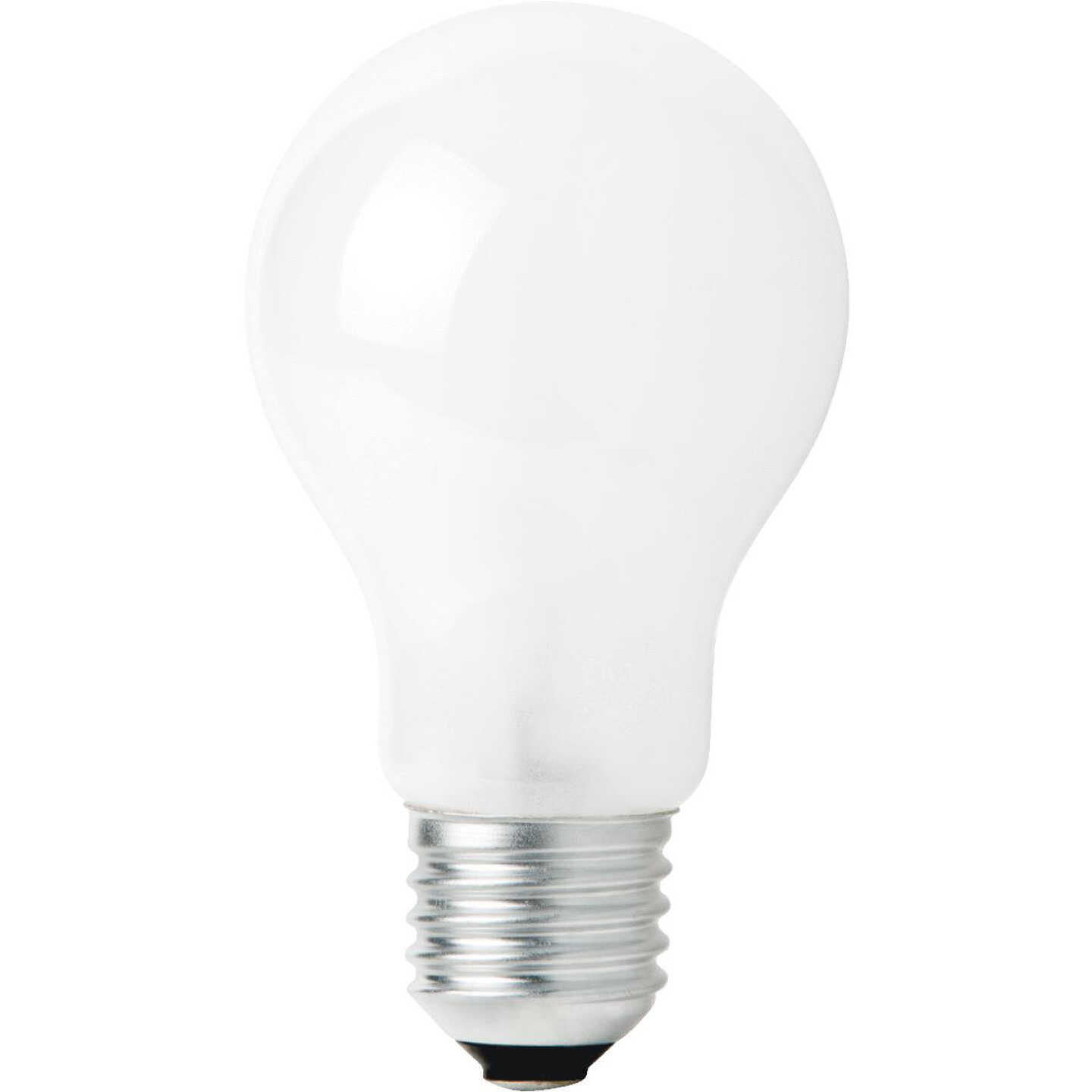 43W HAL 2PK A-BULB CLR Image 2