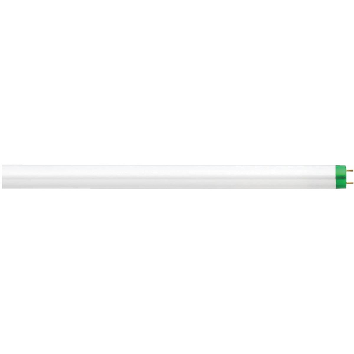 32W 4' T8 50K FLUOR TUBE Image 1