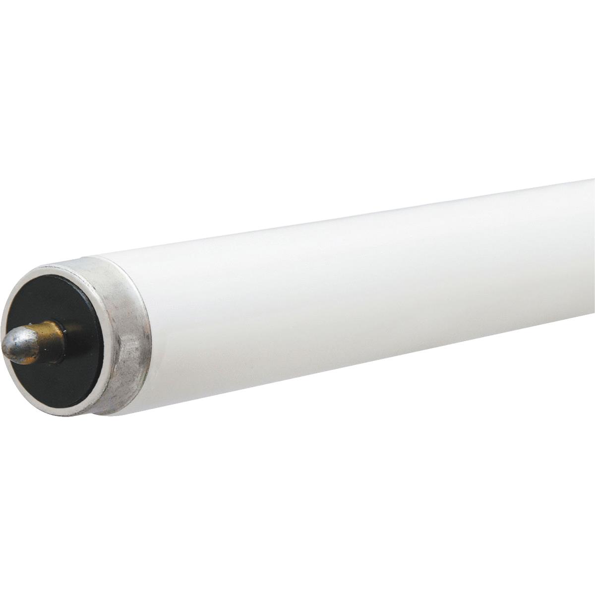 59W 8' T8 BW FLUOR TUBE Image 1