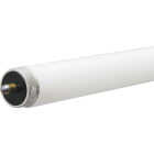 59W 8' T8 BW FLUOR TUBE Image 1