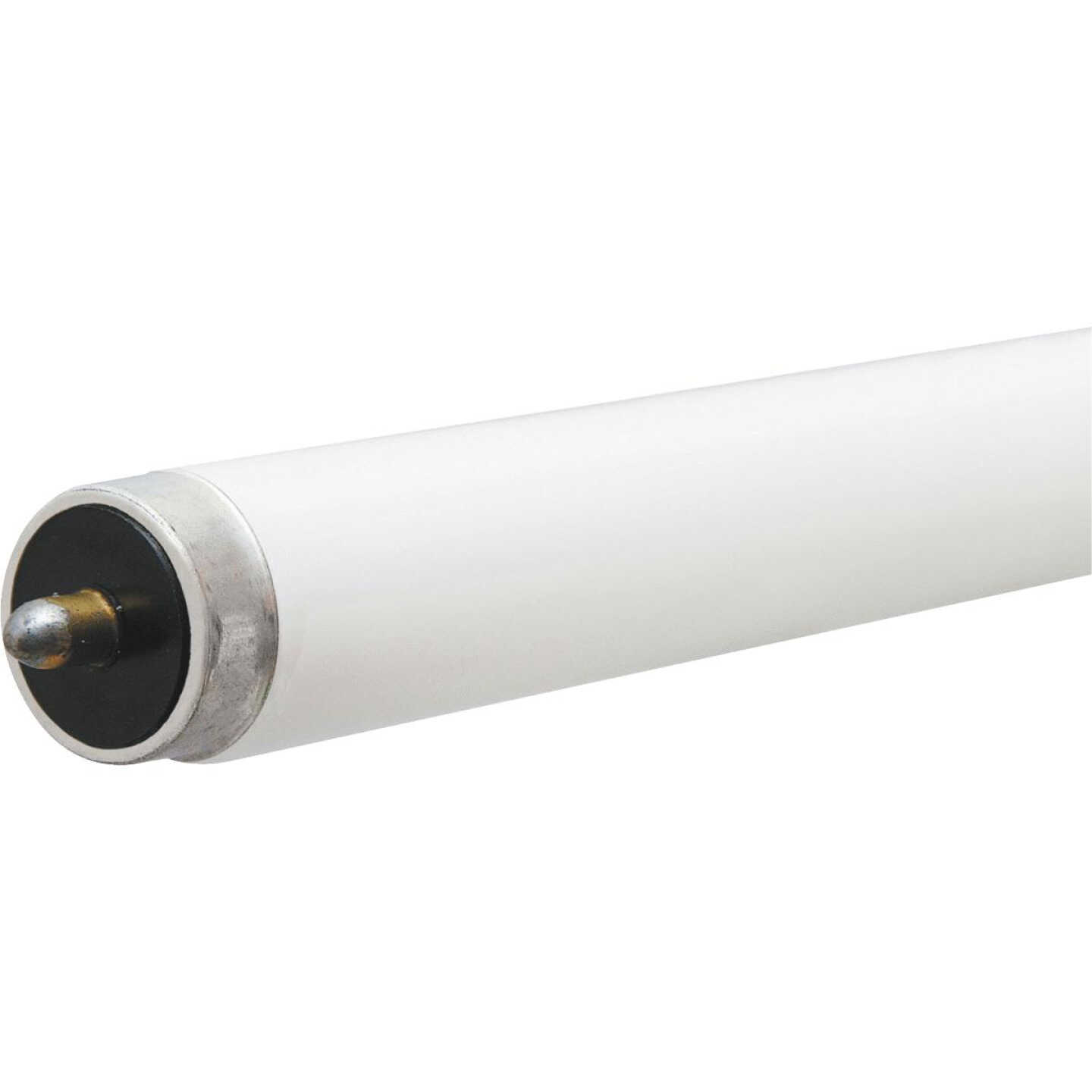 59W 8' T8 BW FLUOR TUBE Image 1