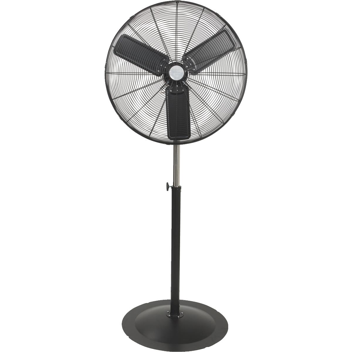 Fans