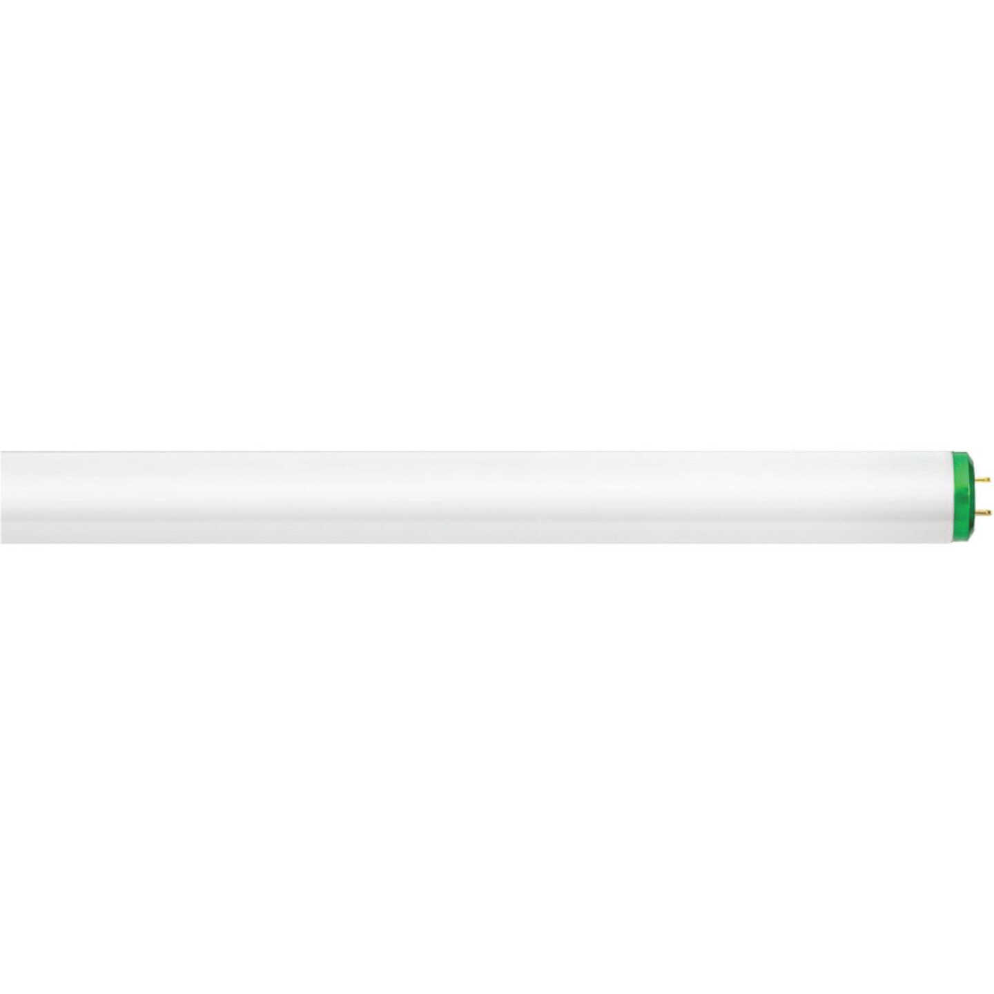 30W 36"T12CW FLUOR TUBE Image 2