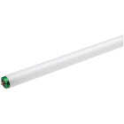 Philips 75W 96 In. Daylight Deluxe T12 Single Pin Fluorescent Tube Light Bulb (2-Pack) Image 1
