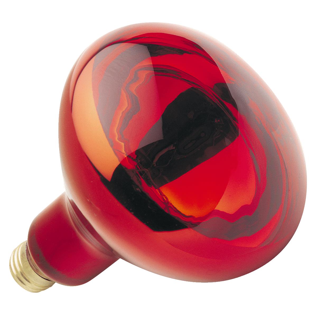 250W HEAT/BROODER BULB