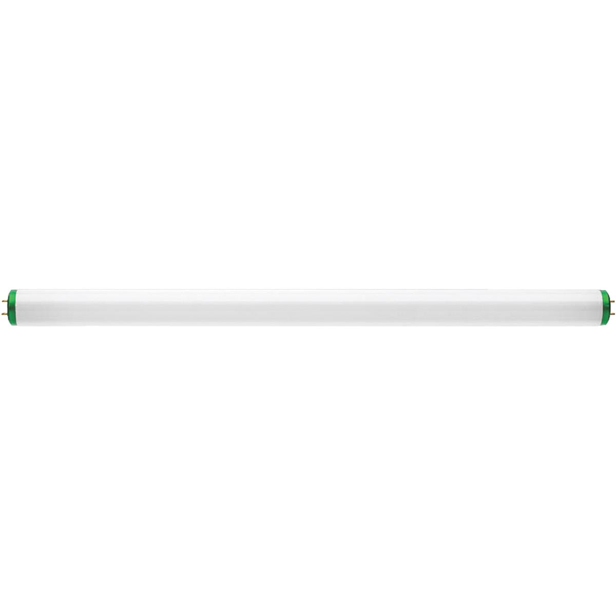 20W 24"T12D FLUOR TUBE